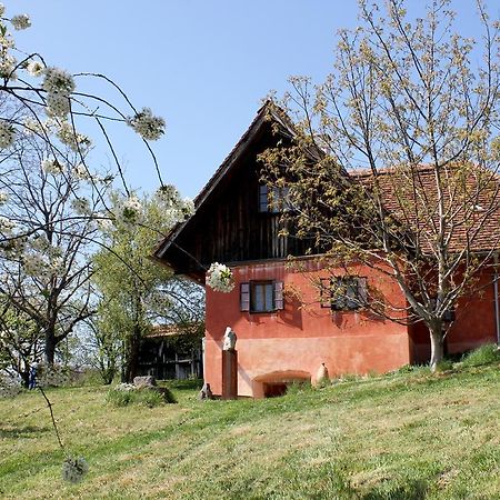 Ferienwohnungen Sonnenberg Ratsch an der Weinstraße Exterior photo