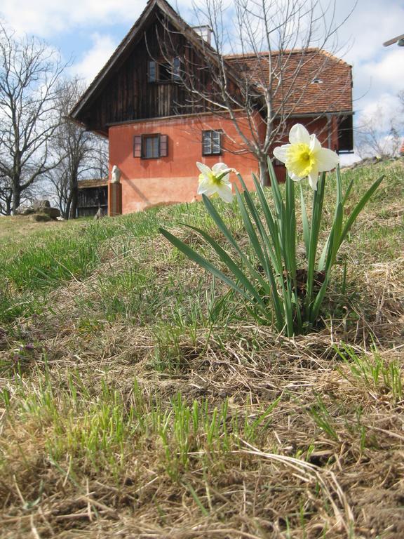 Ferienwohnungen Sonnenberg Ratsch an der Weinstraße Exterior photo