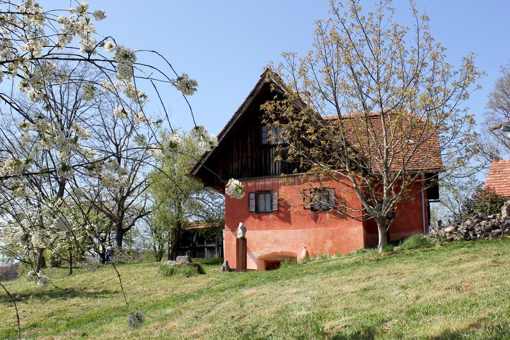 Ferienwohnungen Sonnenberg Ratsch an der Weinstraße Exterior photo